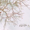 Daniel Kaede - A Sign of Solace