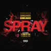 Spray (feat. Tyga & YG) - Single album lyrics, reviews, download