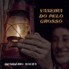 Vaneira do pelo Grosso - Single