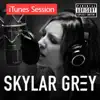 iTunes Session album lyrics, reviews, download