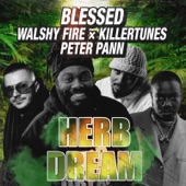 Herb Dream (feat. Killertunes) [Remix] artwork