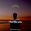 I Feel Like You - Single