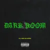 Dark Room (feat. Kiemoni) song lyrics