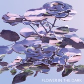Flower In The Dark artwork