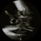 Zeitgeist Nokturne - Acclaim To The Gods & Yinn lyrics