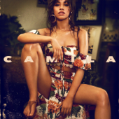 Camila Cabello - Never Be The Same Lyrics