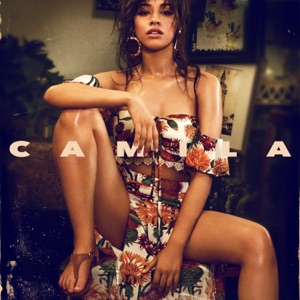 Camila Cabello - Something's Gotta Give - 排舞 音樂