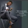Wonder (feat. Godwynguitar, Obichi, GemStones, Davidb, Morayo & Tosinbee) song lyrics