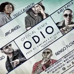 Odio (feat. Ñengo Flow, Tego Calderón & Arcángel) - Single - Baby Rasta & Gringo