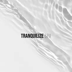 Tranquilize Spa Music: Relaxing Massage Therapy with Ocean Waves and Nature Relaxation by Day Spa Academy, Tranquility Spa Universe & Healing Ocean Waves Zone album reviews, ratings, credits