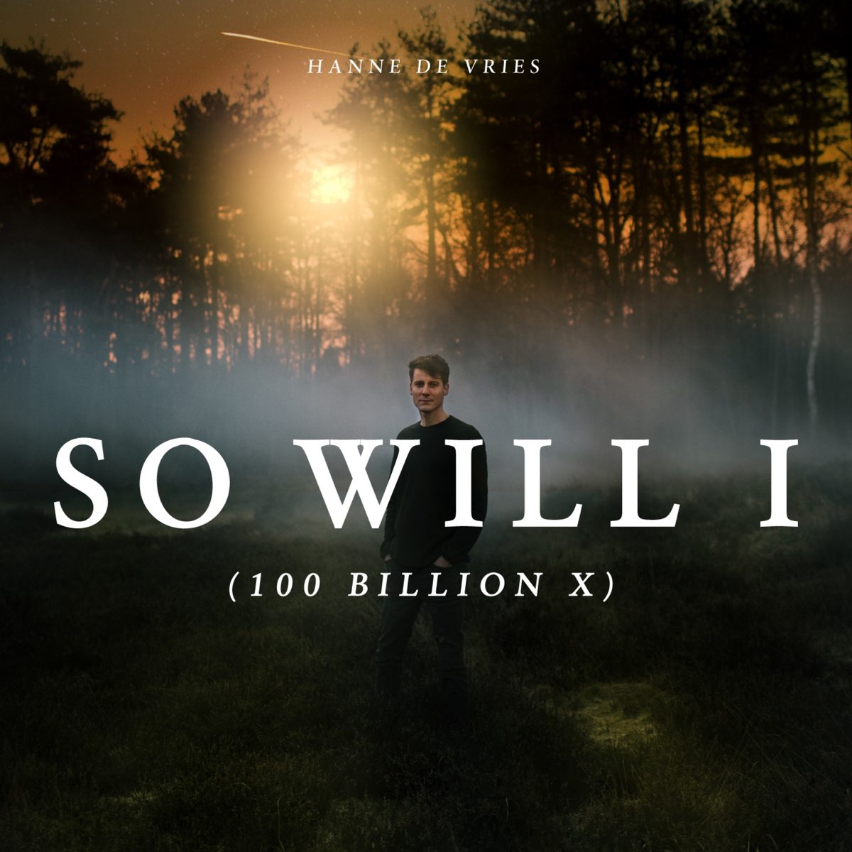 so-will-i-100-billion-x-single-by-hanne-de-vries-on-apple-music