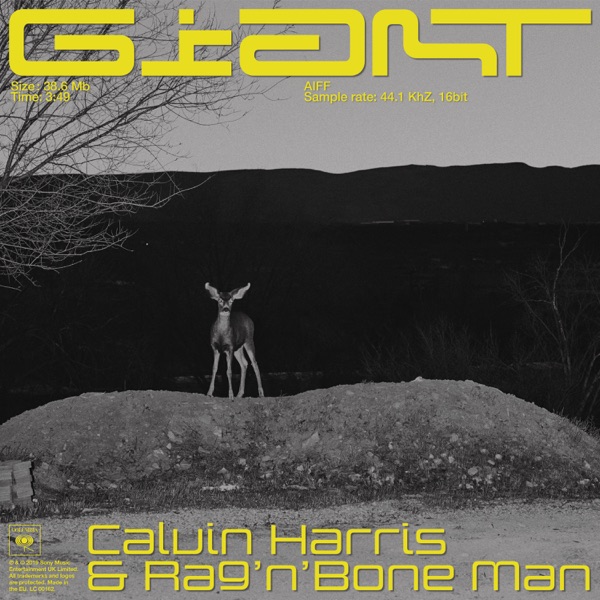 Giant - Single - Calvin Harris, Rag’n’Bone Man