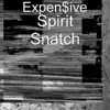 Spirit Snatch - Single album lyrics, reviews, download