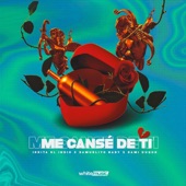 Me Cansé de Ti artwork