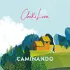 Caminando - Single album lyrics, reviews, download