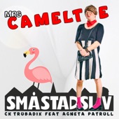 Mrs Cameltoe (feat. Agneta Patrull) artwork