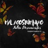 Mal Acostumbrao (Intro Desconocidos) [Remix] - Single