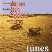 Tunes (feat. Frankie Gavin, Michael McGoldrick & Jim Murray) artwork