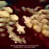 Upside Down and Backwards (feat. Amanda Fields) - Single album lyrics, reviews, download