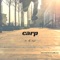 In & Out (feat. Keith Harris & Billy.East) - Carp lyrics