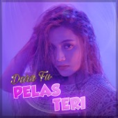 Pelas Teri artwork