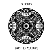 The Control - Brother Culture, Junior Dread & Little Lion Sound