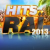 Hits Raï 2013