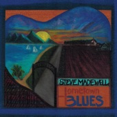 Steve Madewell - New Little Willie Blues