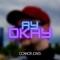 Ayokay - Connor Jones lyrics