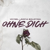 Ohne Dich (Remix) artwork