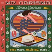 Mr. Carisma - Ximena Sariñana