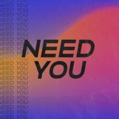 Need You (Radio Edit) artwork