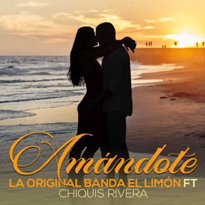 Amándote (feat. Chiquis Rivera) - Single