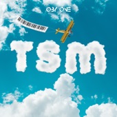 TSM artwork