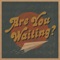 Are You Waiting? - The Brothers Comatose lyrics