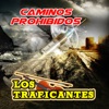 Los Traficantes - Tomando Licores