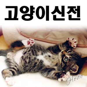 160. (납량특집 트위쇼) 정말정말 실화만 모은 무서운 이야기들?