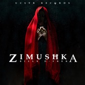 Zimushka artwork