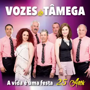 lataa albumi Vozes Do Tâmega - A Vida É Uma Festa 25 anos