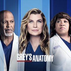 Grey's Anatomy, Saison 18 (VOST)