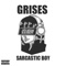 Grises - Sarcastic Boy lyrics