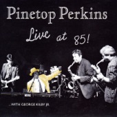 Pinetop Perkins - Kidney Stew