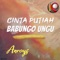 Cinta Putiah Babungo Ungu - Anroys lyrics