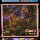 Canto artwork