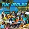 Healer Dub artwork