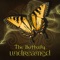 The butterfly (Slip jig) - Undreamed lyrics