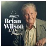 Brian Wilson - The Warmth of the Sun