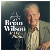 Brian Wilson - You Still Believe in Me