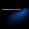 Avicii - Addicted to You - Radio Edit