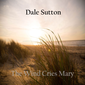 The Wind Cries Mary (Acoustic) - Dale Sutton